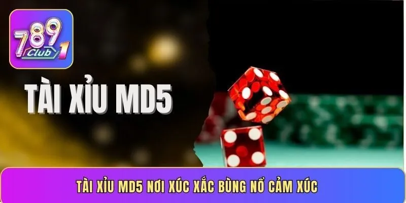 Tài Xỉu MD5 nơi xúc xắc bùng nổ cảm xúc